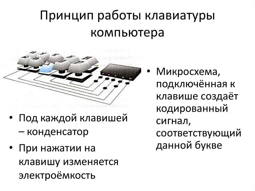 Клавиатура компьютера: описание, виды и устройство клавиатуры