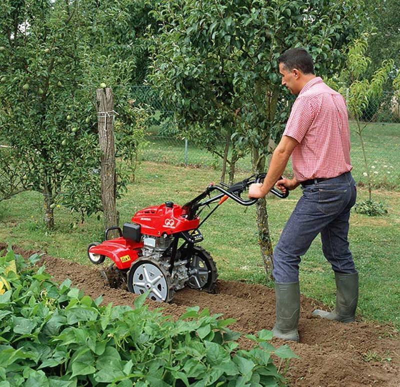 Выбираем недорогой, но хороший культиватор: рейтинг лучших моделей 2020