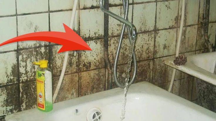 Как избавиться от плесени в ванне: популярные способы