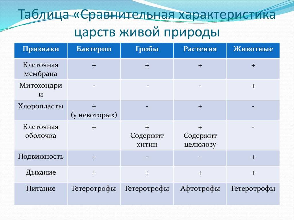 Сравнительная таблица образец