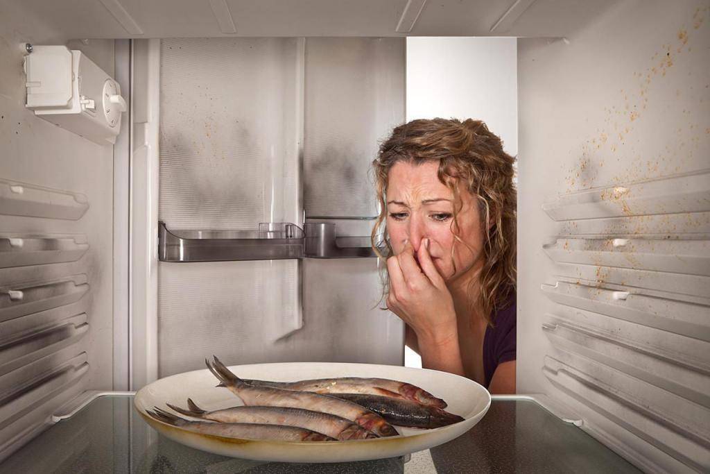 Как избавиться от запаха плесени в холодильнике: почему появляется, чем отмыть резинку