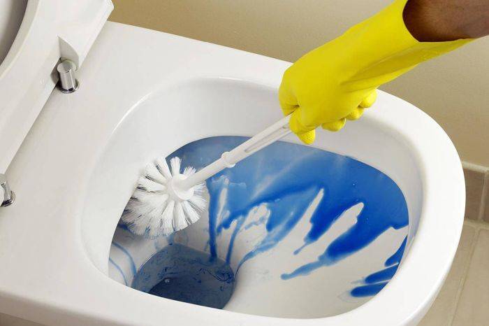 Какими способами можно прочистить унитаз в домашних условиях