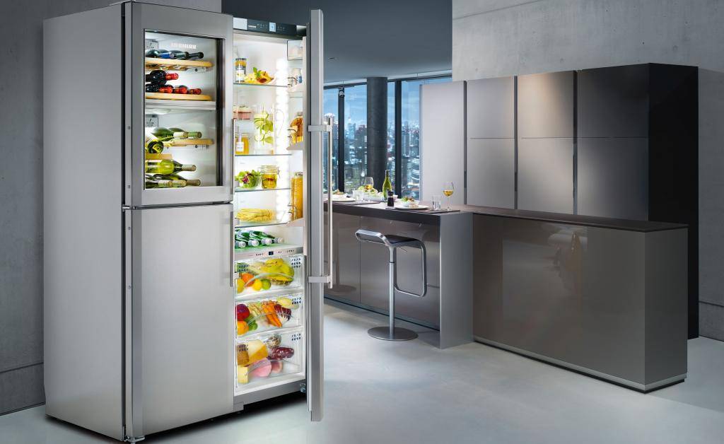 Двухкамерный холодильник с морозильной камерой: рейтинг лучших моделей