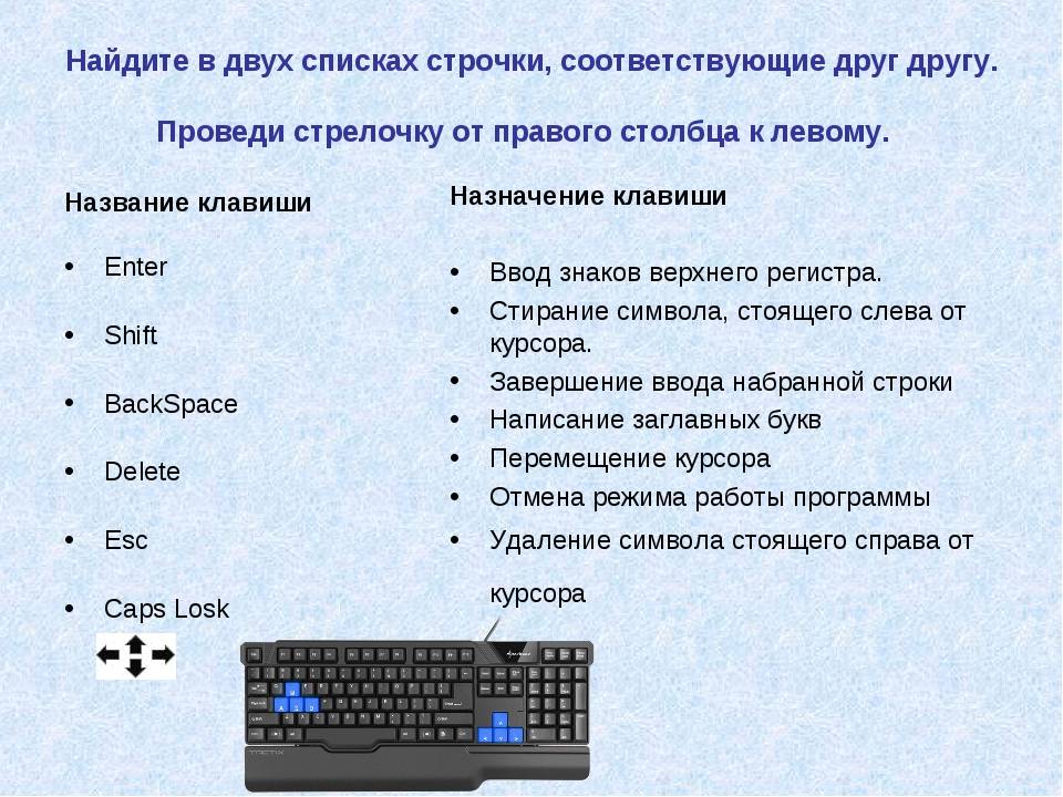 Группы клавиш на клавиатуре: назначение клавиш на клавиатуре по основным группам