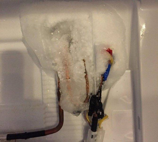 Не испаряется вода в испарителе холодильника