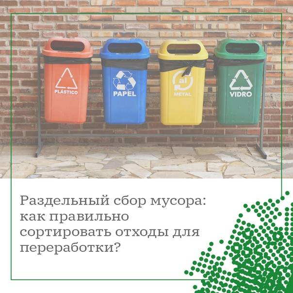 Сортировка мусора и отходов (тбо)