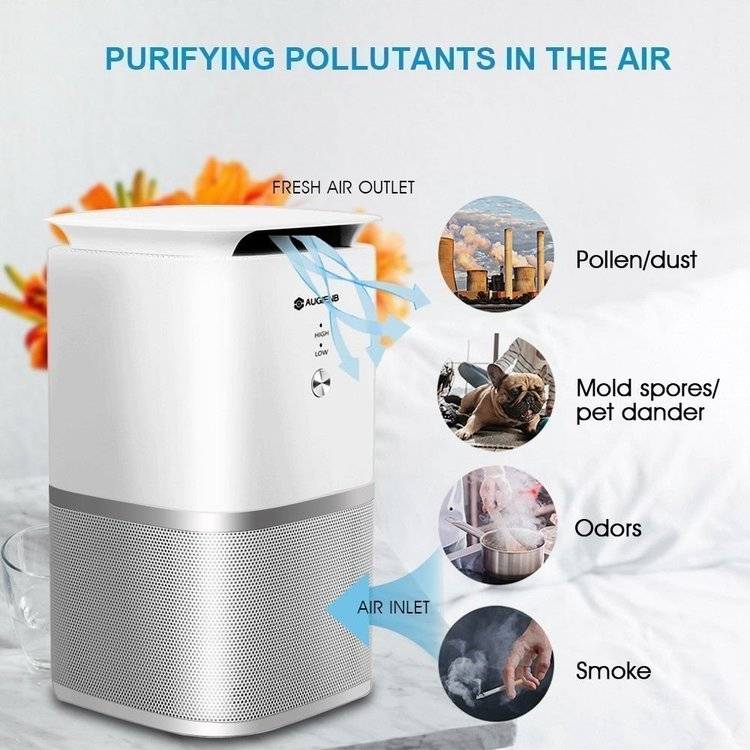 Какой воздух в помещении должен быть при астме — вентиляция и кондиционирование