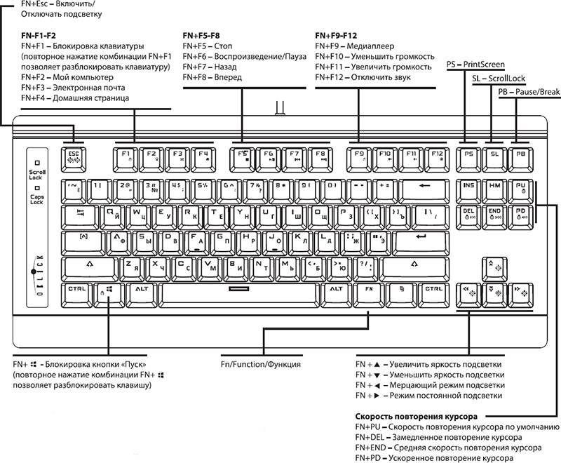 Клавиатура: характеристики устройства ввода
