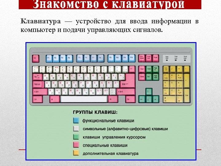Раскладки и клавиатуры компьютера - типы, особенности, устройство