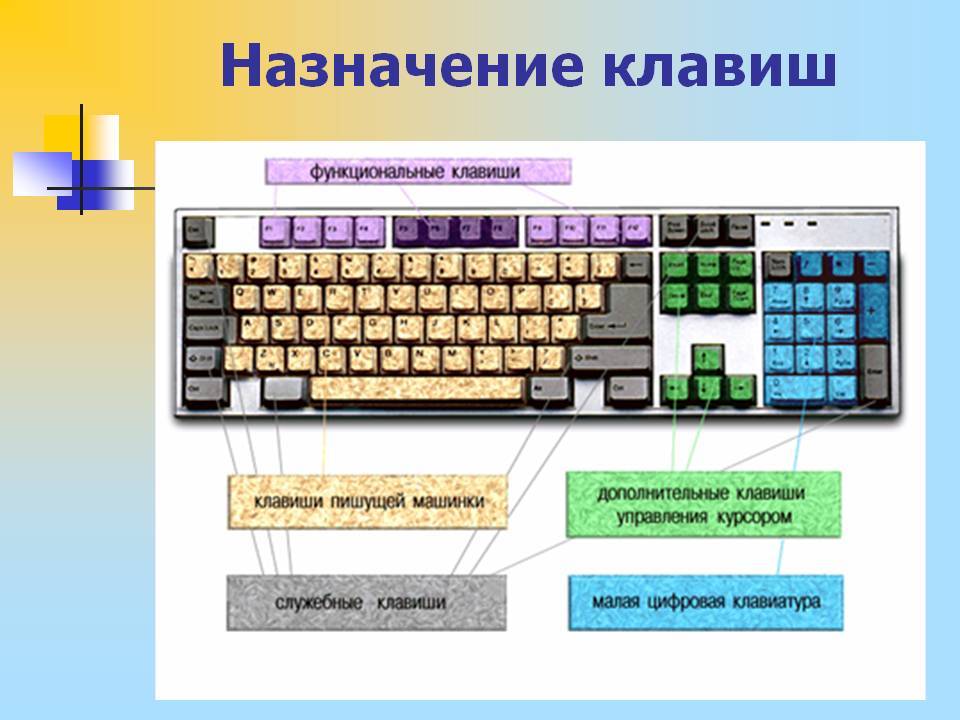 Как использовать клавиатуру. Схема назначений клавиш на клавиатуре. Устройство клавиатуры Назначение клавиш. Клавиатура раскладка клавиш Назначение. Назначение клавиш клавиатуры компьютера.