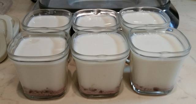 Как приготовить йогурт в йогуртнице в домашних условиях