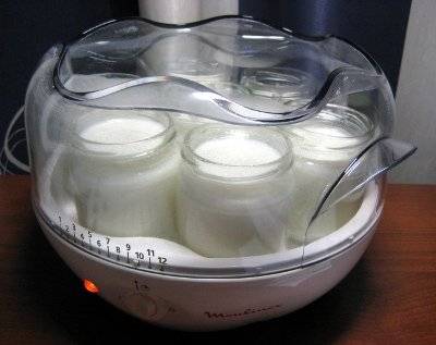 Как сделать йогурт — простые домашние рецепты приготовления и советы как в домашних условиях сделать йогурт (95 фото)