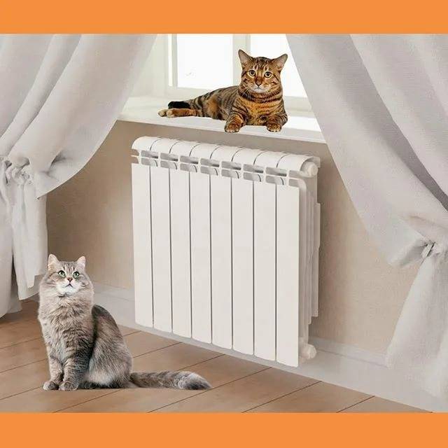 Радиаторы отопления: какие лучше выбрать для квартиры или частного дома