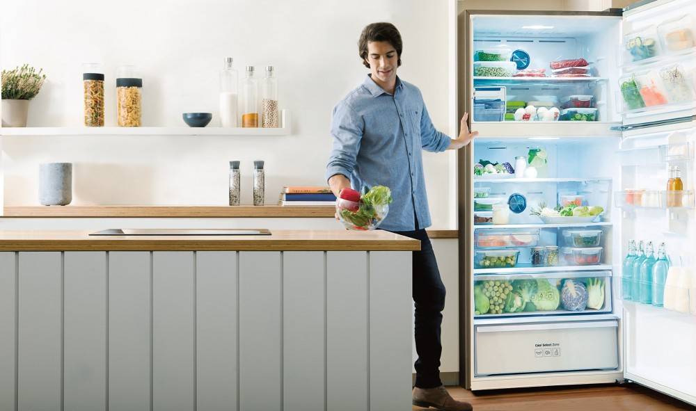 Какой холодильник лучше выбрать для дома — топ холодильников по цене
