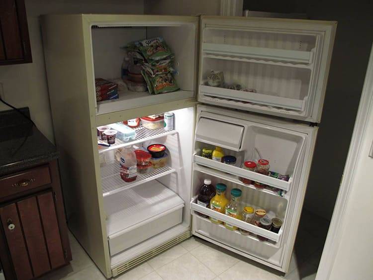 Холодильники ariston: топ-10 лучших моделей, отзывы, советы по выбору оборудования
