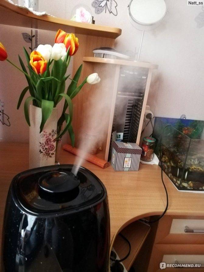 Как выбрать лучший увлажнитель воздуха для дома, оранжереи