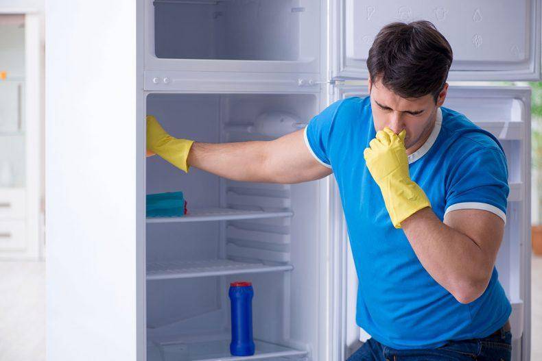 Как избавиться от неприятного запаха в холодильнике: лучшие народные средства