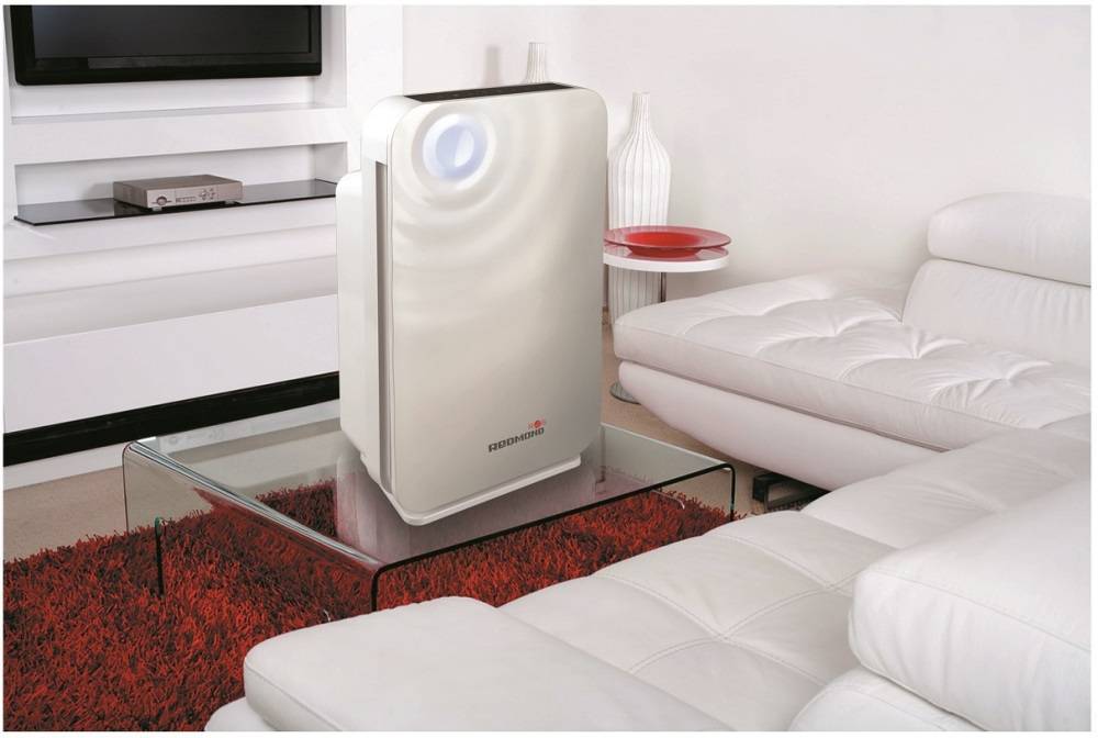 Лучшие ионизаторы воздуха для дома: рейтинг 2021 года