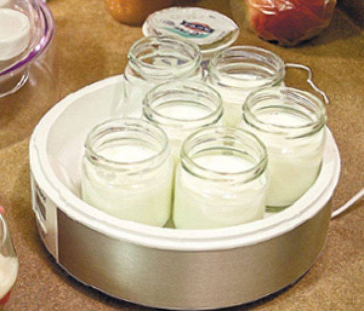 Домашний йогурт своими руками: рецепт