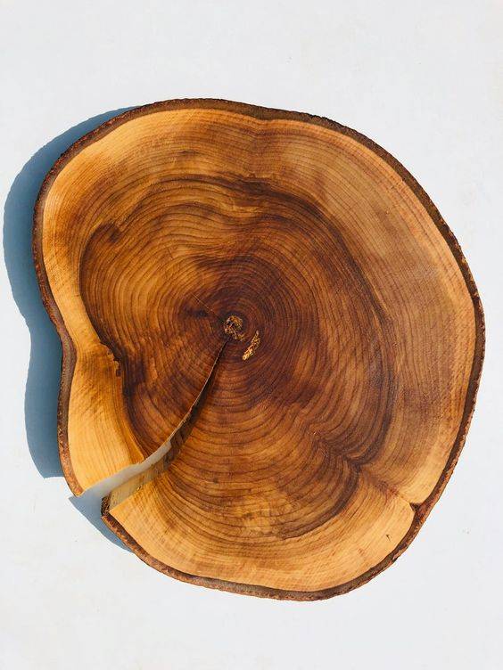 Какая древесина подходит для изготовления посуды - древология - все о древесине, строительстве, ремонте, интерьере