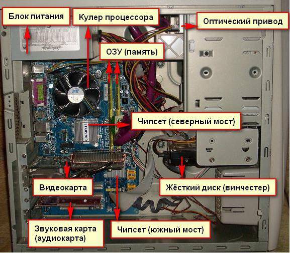 Куда вставляется сетевая карта