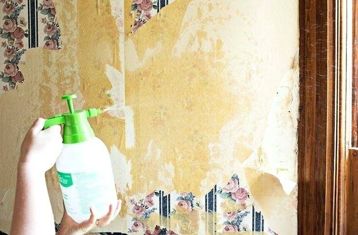 Как снять обои со стен быстро и качественно - доступные способы
