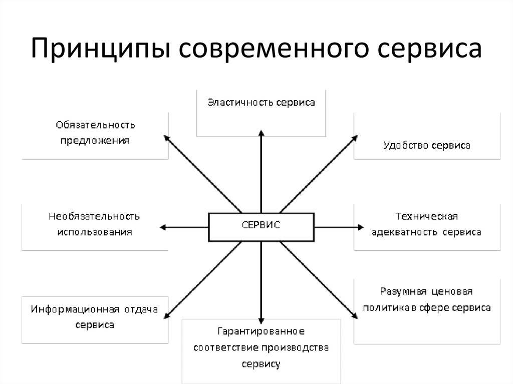 Схема связи функций у сфероэки