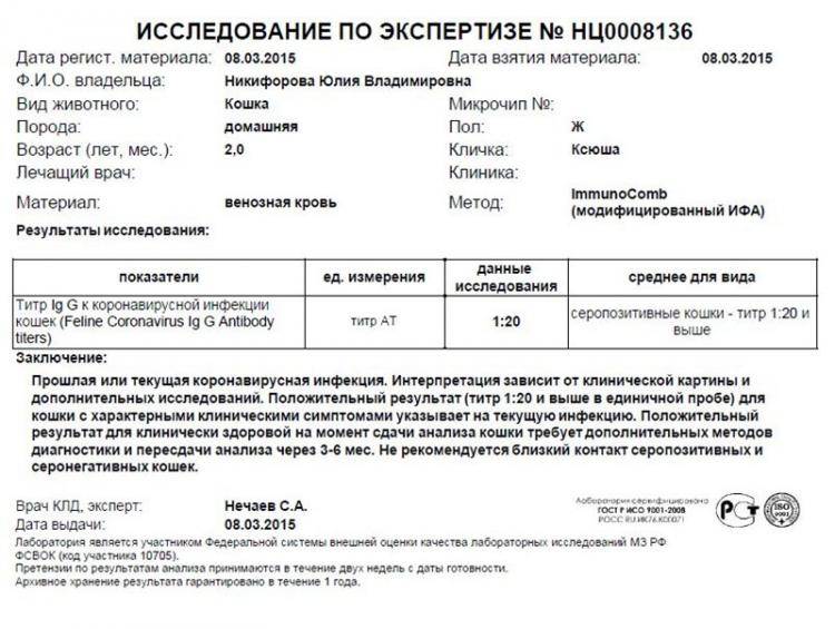 Все тесты на коронавирус "по полочкам": как сдать, что покажут | tbcc-здравоохранение