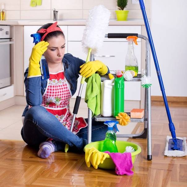 Как содержать квартиру в чистоте с домашними животными
