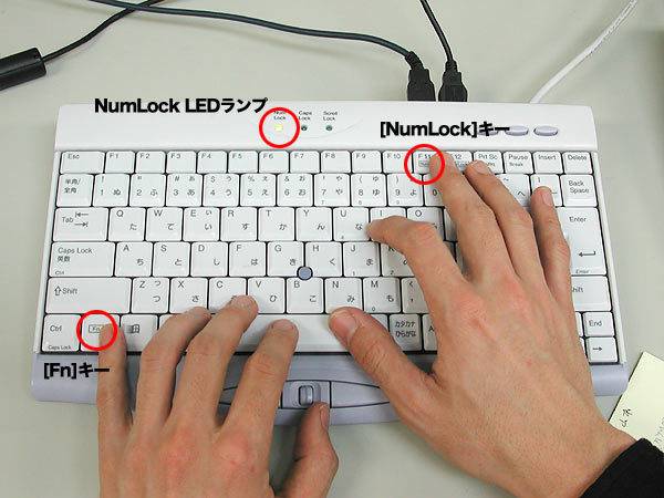 Как включить цифровой блок клавиш на ноутбуке