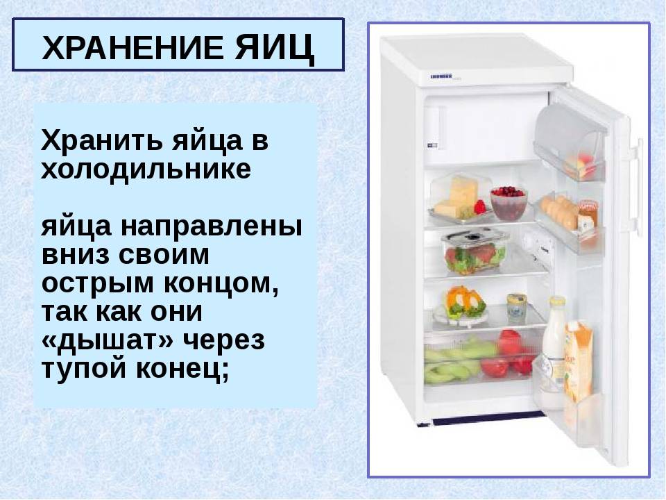 Можно хранить белки