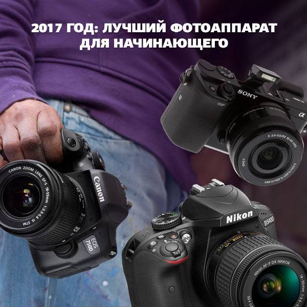 Как выбрать фотокамеру начинающему фотографу
