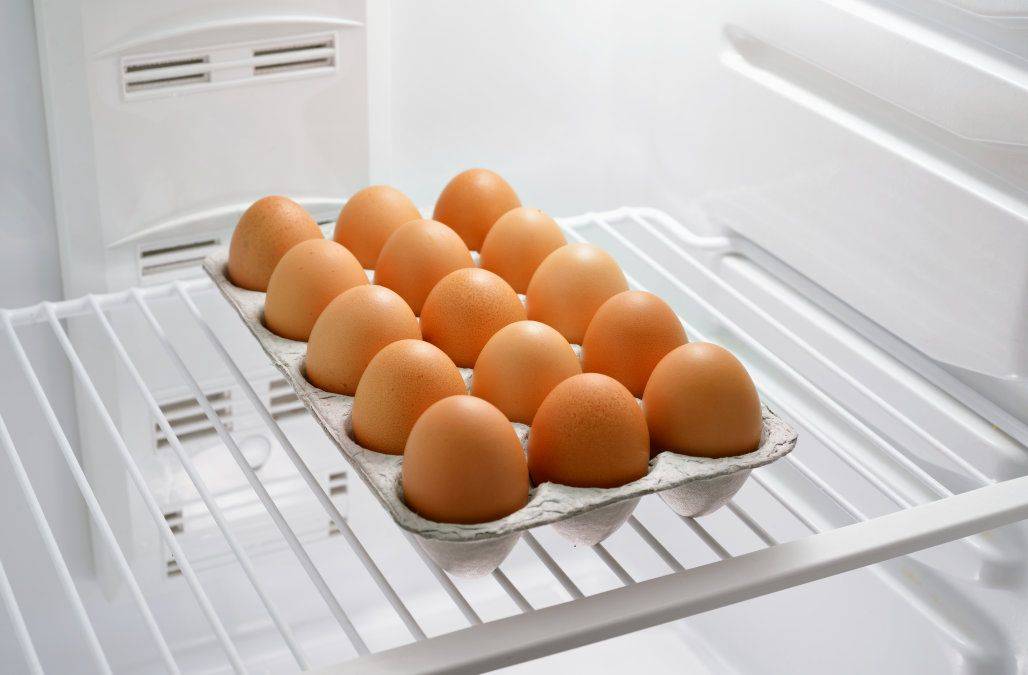 Хранения яиц без холодильника, как хранить яйца без холодильника, при какой температуре