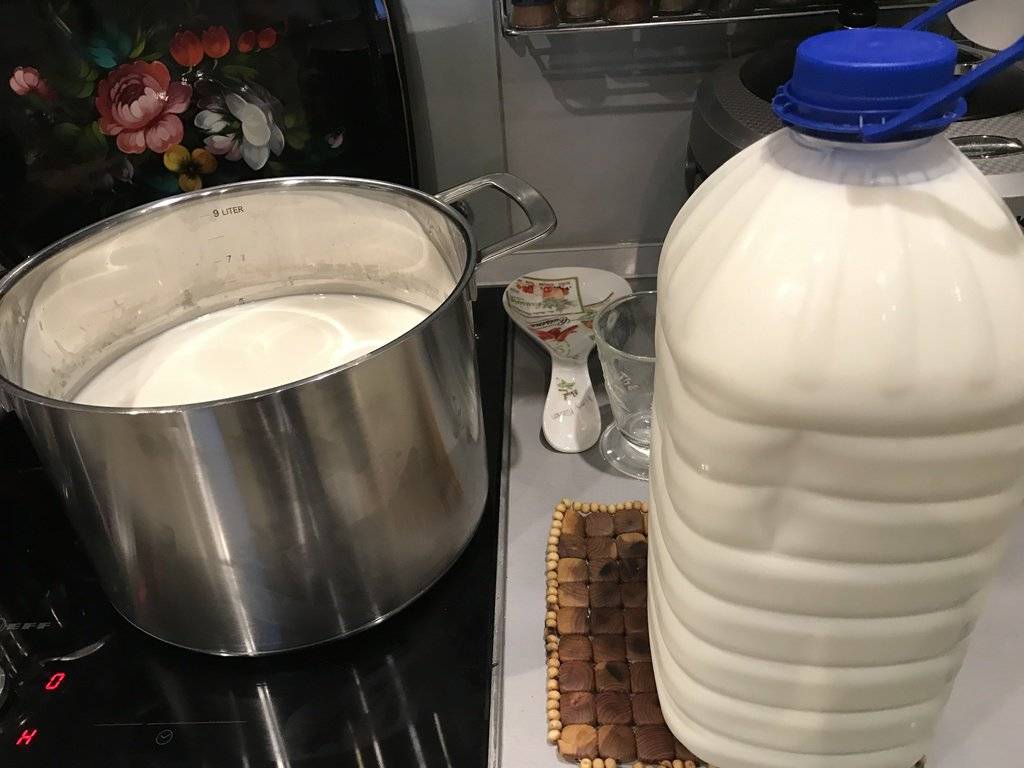 Вскипятить молоко в электрочайнике: мнение «за» и «против