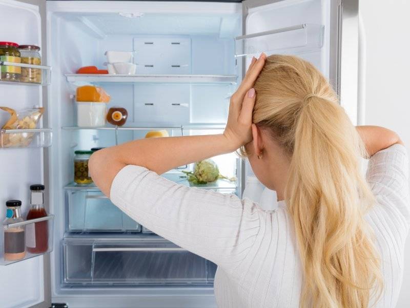 Почему появляется плесень в холодильнике и как от нее избавиться
