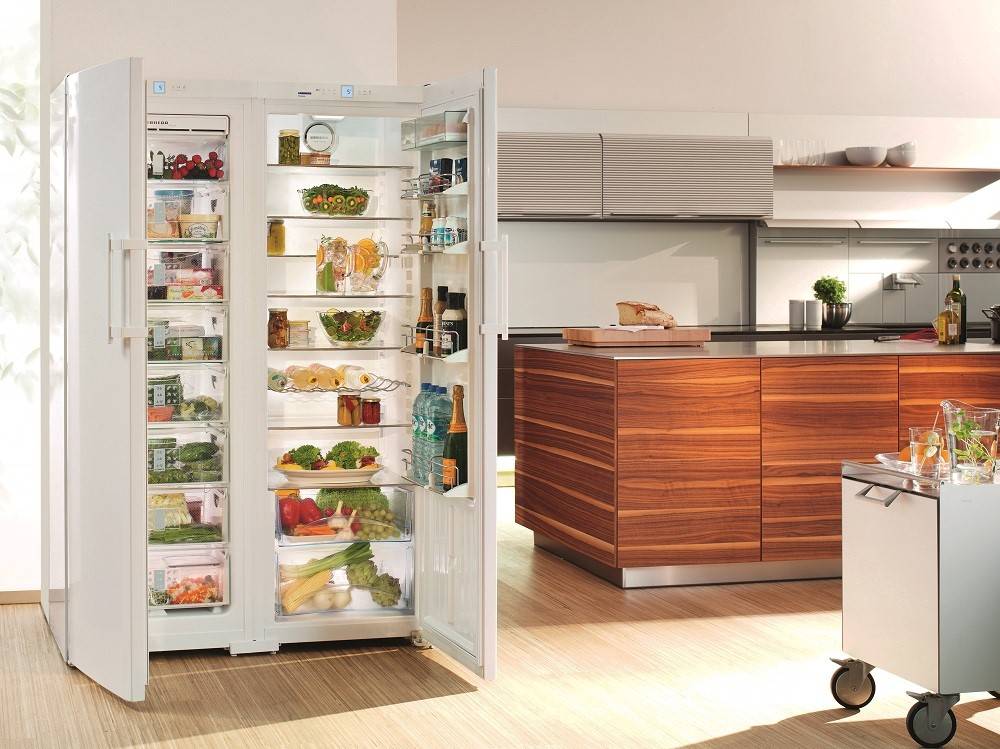 Топ-10 лучших тихих холодильников для домашнего комфорта