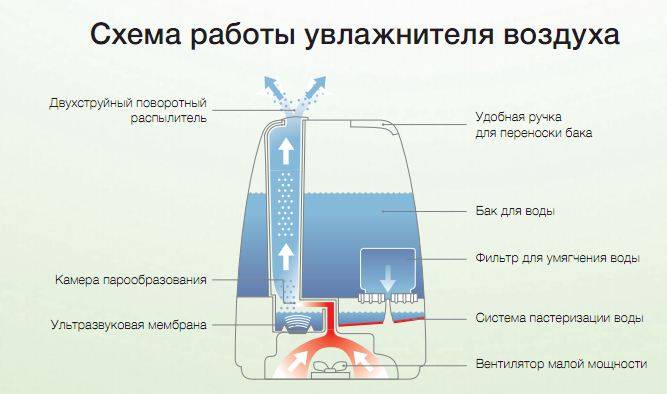 Какую воду заливать в увлажнитель воздуха: обычную или дистиллированную? рекомендации по эксплуатации прибора