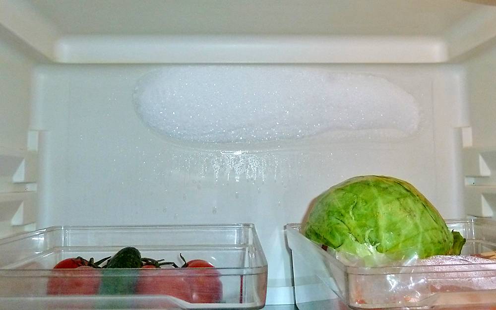 Конденсат в холодильнике — что при этом делать и как устранить?