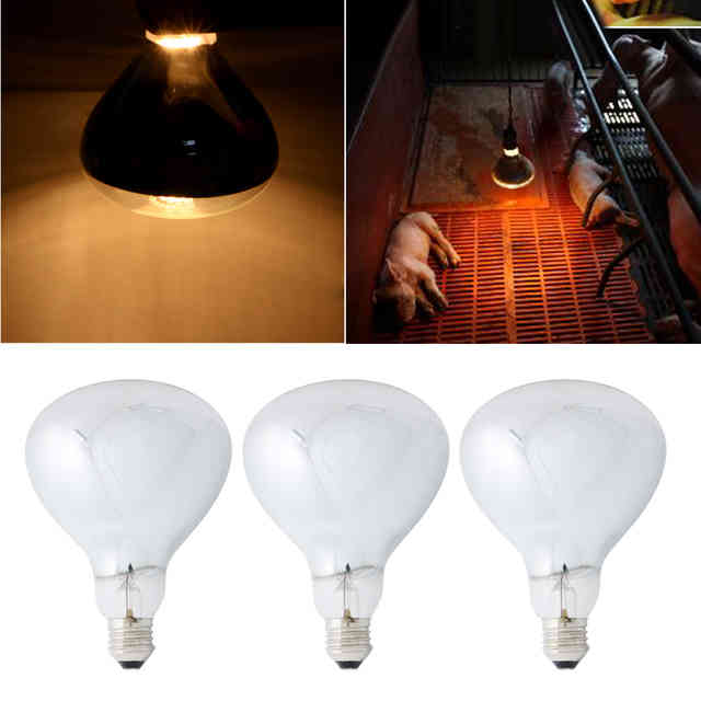 Инфракрасные лампы: типы ик лампочек для бытового использования и выбор