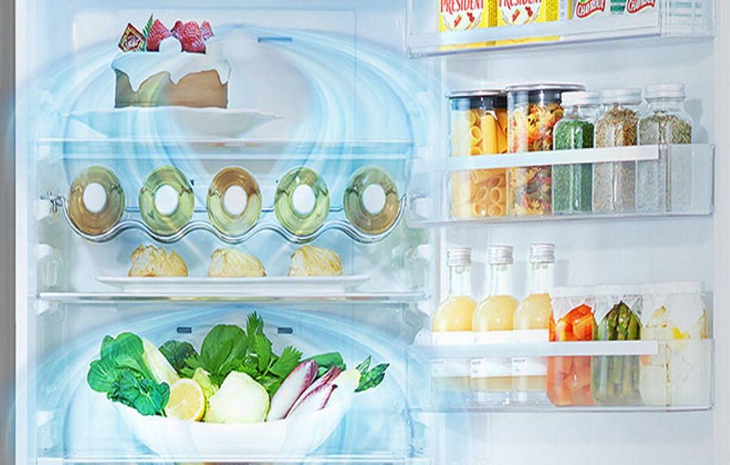 Ноу-фрост или капельный холодильник: чем отличаются, какой лучше, их плюсы и минусы
