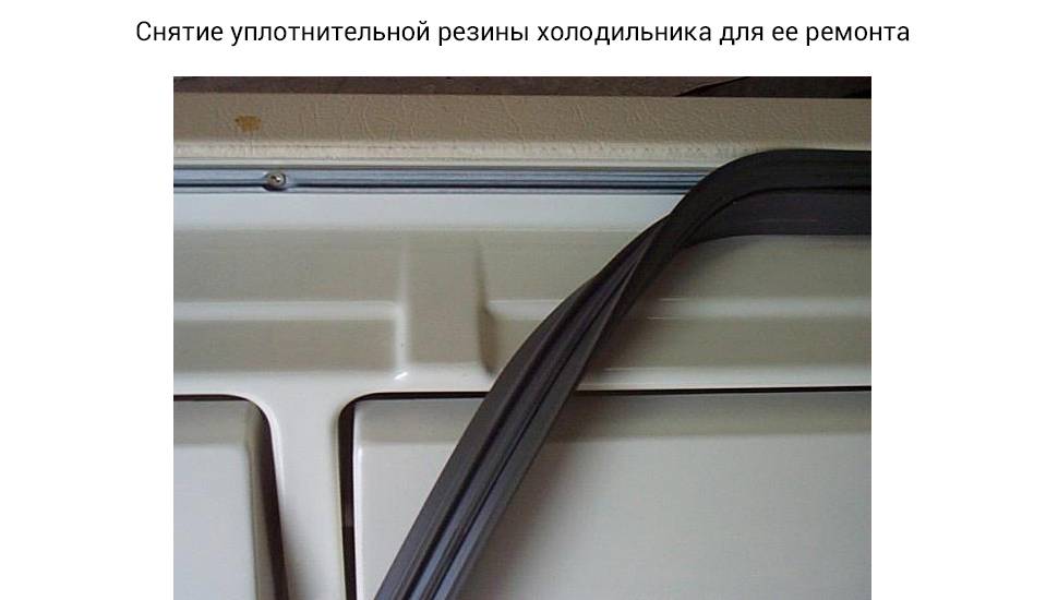 Как поменять резинку на холодильнике — инструкция по замене