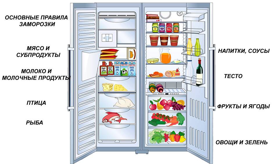Где в холодильнике холоднее вверху или внизу