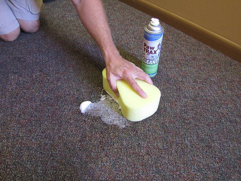 Как убрать пластилин с ковра в домашних условиях: эффективные способы чистки коврового покрытия