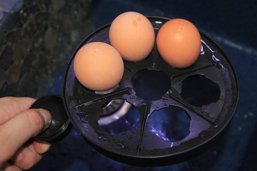 Топ-7 лучших электрических яйцеварок для дома: какую выбрать, отзывы