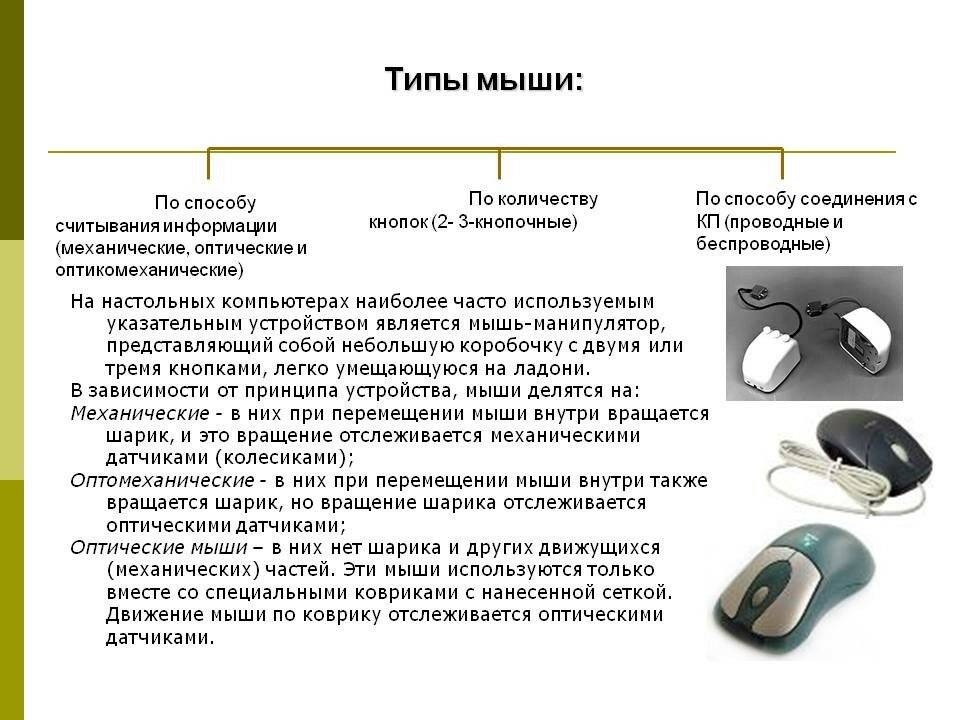 Какие типы мышей