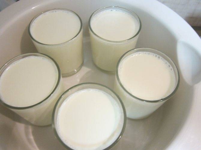 Домашний йогурт своими руками: рецепт