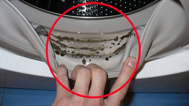 3 этапа очистки стиральной машины от плесени