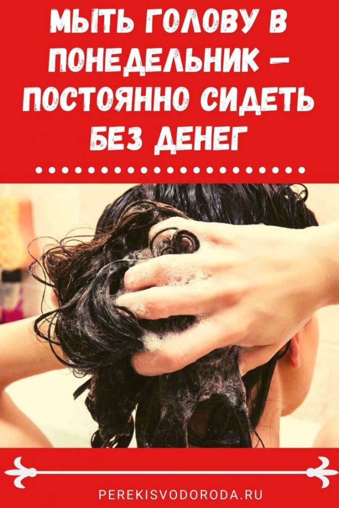 Орхидея в доме: приметы, суеверия и правила круглогодичного цветения :: инфониак