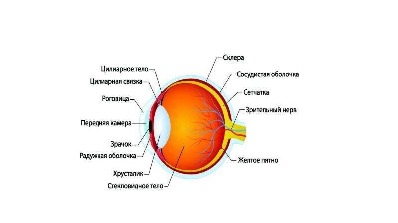 Что делать, если глаза болят после сварки? почему возникает ожог глаз после сварки?