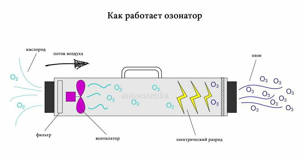 Как выбрать ионизатор воздуха - советы экспертов - журнал expertology.ru